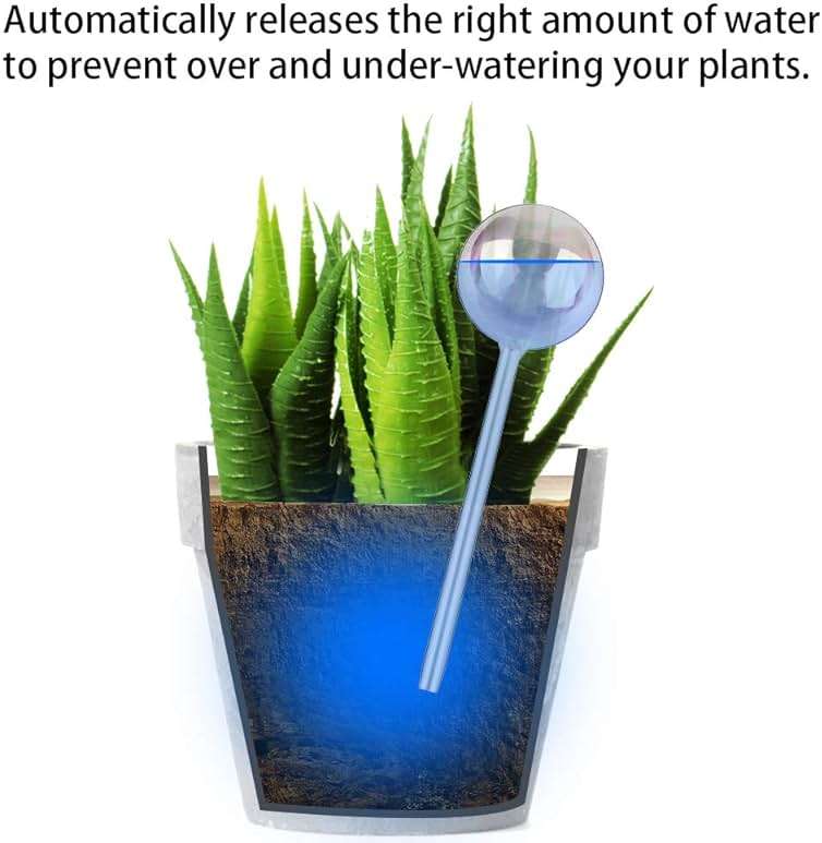 Tomorotec [2 PCS] Light Iridescent Rainbow Gradient Color Clear Glass Self-Watering System Spikes, Automatic Plant Waterer Bulbs - Image 3