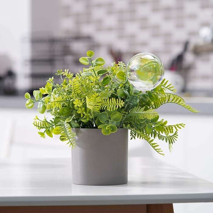 Tomorotec [2 PCS] Light Iridescent Rainbow Gradient Color Clear Glass Self-Watering System Spikes, Automatic Plant Waterer Bulbs - Image 9