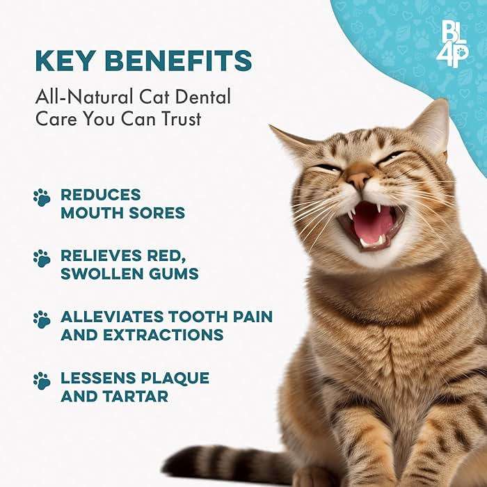 Cat Dental Care Supplement for Bad Breath, Tartar & Gum Support - Natural Cat Teeth Cleaning Oral Tablets Provide Eating & Gum Comfort, Teeth Wellness and Plaque Control, Tiny Dissolvable 400 Pills - Image 3