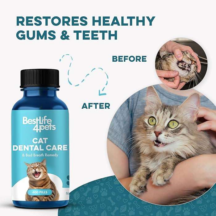 Cat Dental Care Supplement for Bad Breath, Tartar & Gum Support - Natural Cat Teeth Cleaning Oral Tablets Provide Eating & Gum Comfort, Teeth Wellness and Plaque Control, Tiny Dissolvable 400 Pills - Image 4