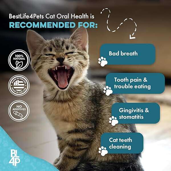 Cat Dental Care Supplement for Bad Breath, Tartar & Gum Support - Natural Cat Teeth Cleaning Oral Tablets Provide Eating & Gum Comfort, Teeth Wellness and Plaque Control, Tiny Dissolvable 400 Pills - Image 5