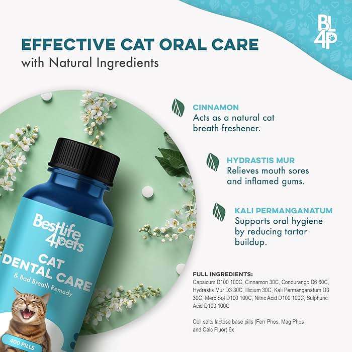 Cat Dental Care Supplement for Bad Breath, Tartar & Gum Support - Natural Cat Teeth Cleaning Oral Tablets Provide Eating & Gum Comfort, Teeth Wellness and Plaque Control, Tiny Dissolvable 400 Pills - Image 7