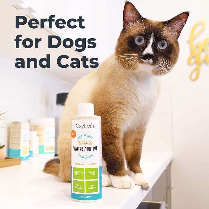 Oxyfresh Premium Pet Dental Care Solution Pet Water Additive: Best Way to Eliminate Bad Dog Breath and Cat Bad Breath - Fights Tartar & Plaque - So Easy, Just Add to Water! Vet Recommended 16 oz. - Image 6