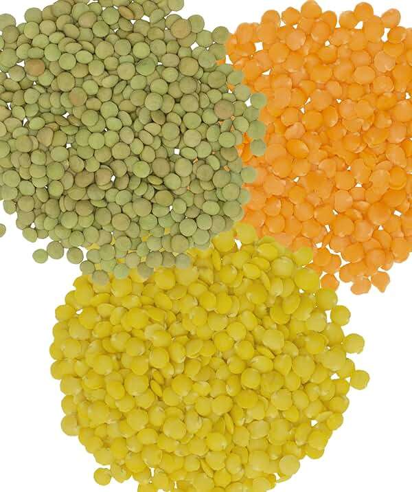 Red Lentils | Green Lentils | Golden Lentils | 12 LBS Total | Non-GMO | 100% Non Irradiated | Kosher | USA Grown | Vegan - Image 3