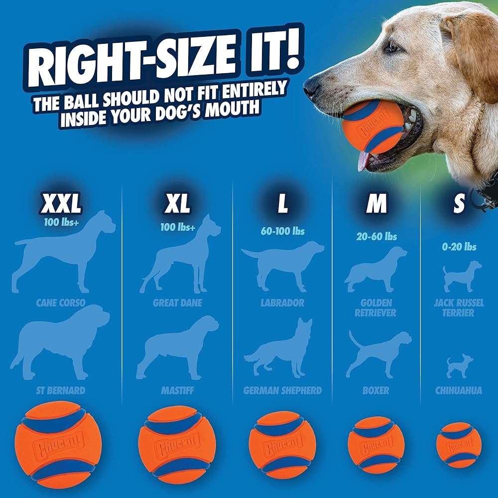 ChuckIt! Medium Ultra Ball, 8 Count - Image 5