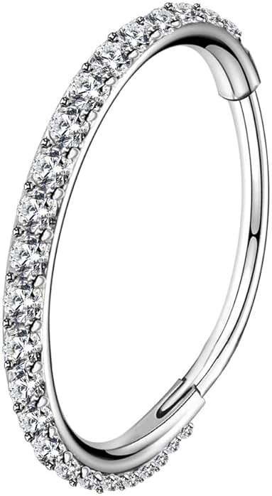 OUFER Nose Rings Surgical Steel Cartilage Earrings Tragus 316L Stainless Steel Helix Earrings Cartilage Earring 14G/16G/18G/20G Hinged Segment Rings Hoop - Image 1