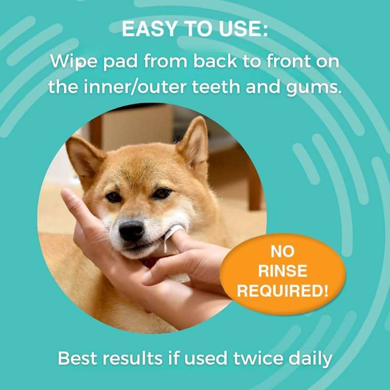 Nootie Medicated Dental Wipes for Dogs, Cleans Teeth and Freshens Breath for Dogs - Prevents Plaque and Tartar Dog Oral Care, 60 Count - Image 3