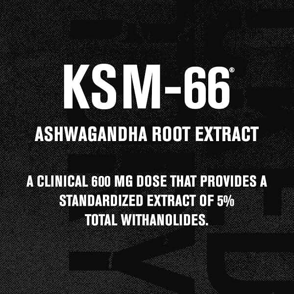 Jacked Factory Ashwagandha Root Extract (KSM-66 Ashwagandha) w/ 5% Withanolides - Supplement for Natural Stress Relief, Cognitive Function, Vitality, and Mood Support - 60 Veggie Capsules - Image 2