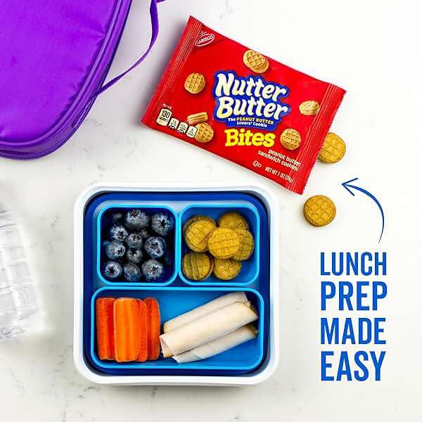 OREO Mini Cookies, Mini CHIPS AHOY! Cookies, RITZ Bits Cheese Crackers, Nutter Butter Bites & Wheat Thins Crackers, Nabisco Cookie & Cracker Variety Pack, 50 Snack Packs - Image 10