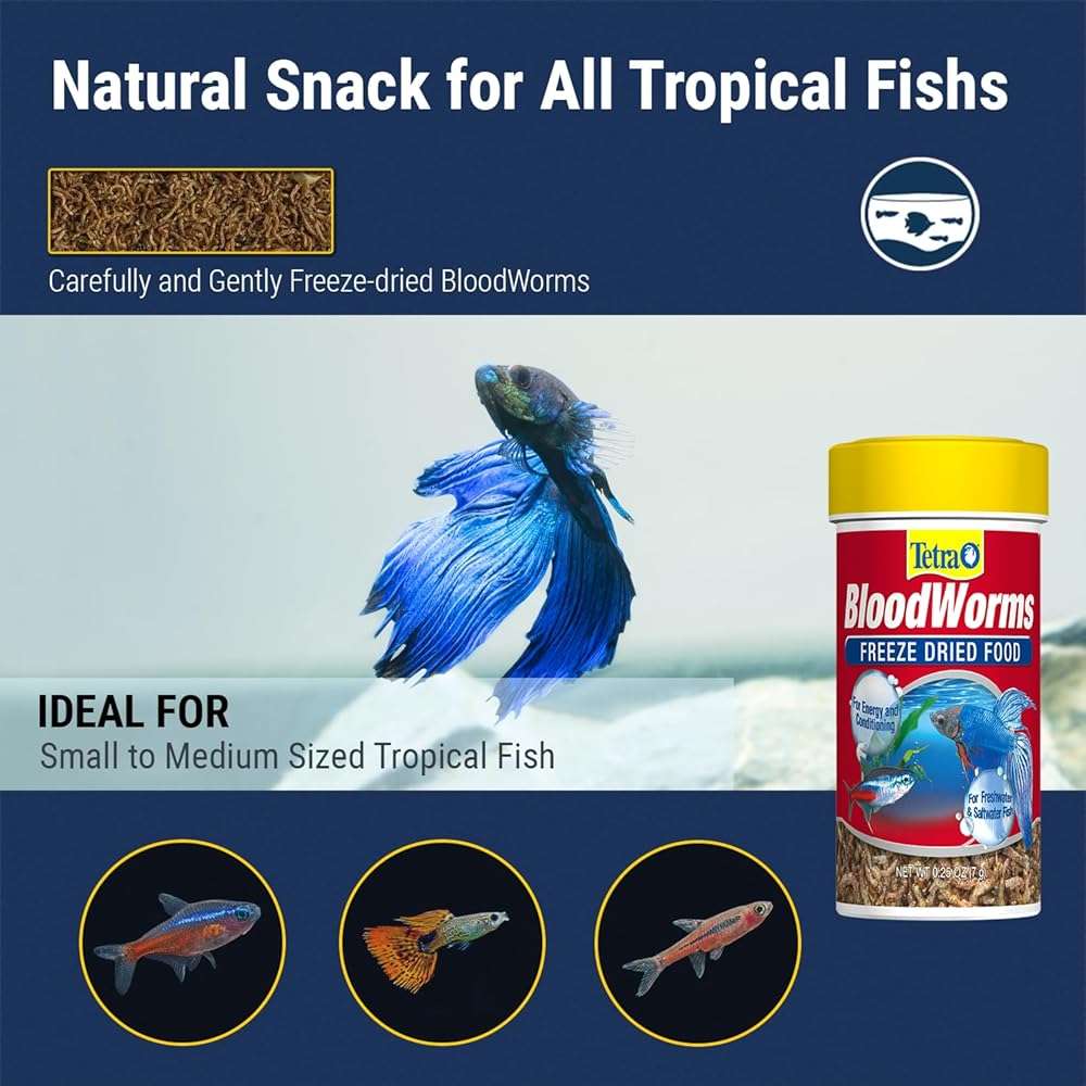 Tetra BloodWorms 0.25 Oz, Freeze-Dried Food for Freshwater and Saltwater Fish, Seafood (Pack of 1) - Image 5