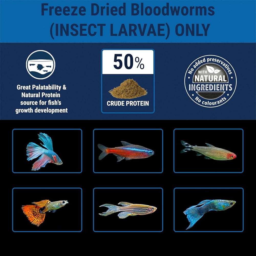 Tetra BloodWorms 0.25 Oz, Freeze-Dried Food for Freshwater and Saltwater Fish, Seafood (Pack of 1) - Image 6