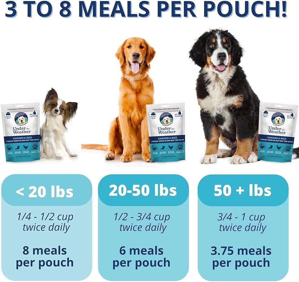 Under the Weather Bland Diet for Dogs | Easy to Digest for Sick Dogs | Always Be Ready | Contains Electrolytes - All Natural Freeze Dried 100% Human Grade Meats | 2 Pack - Chicken, Rice - 6oz - Image 2
