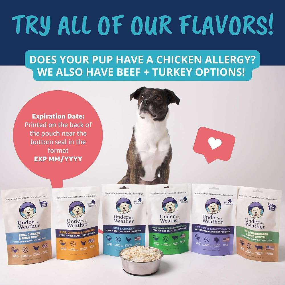 Under the Weather Bland Diet for Dogs | Easy to Digest for Sick Dogs | Always Be Ready | Contains Electrolytes - All Natural Freeze Dried 100% Human Grade Meats | 2 Pack - Chicken, Rice - 6oz - Image 7