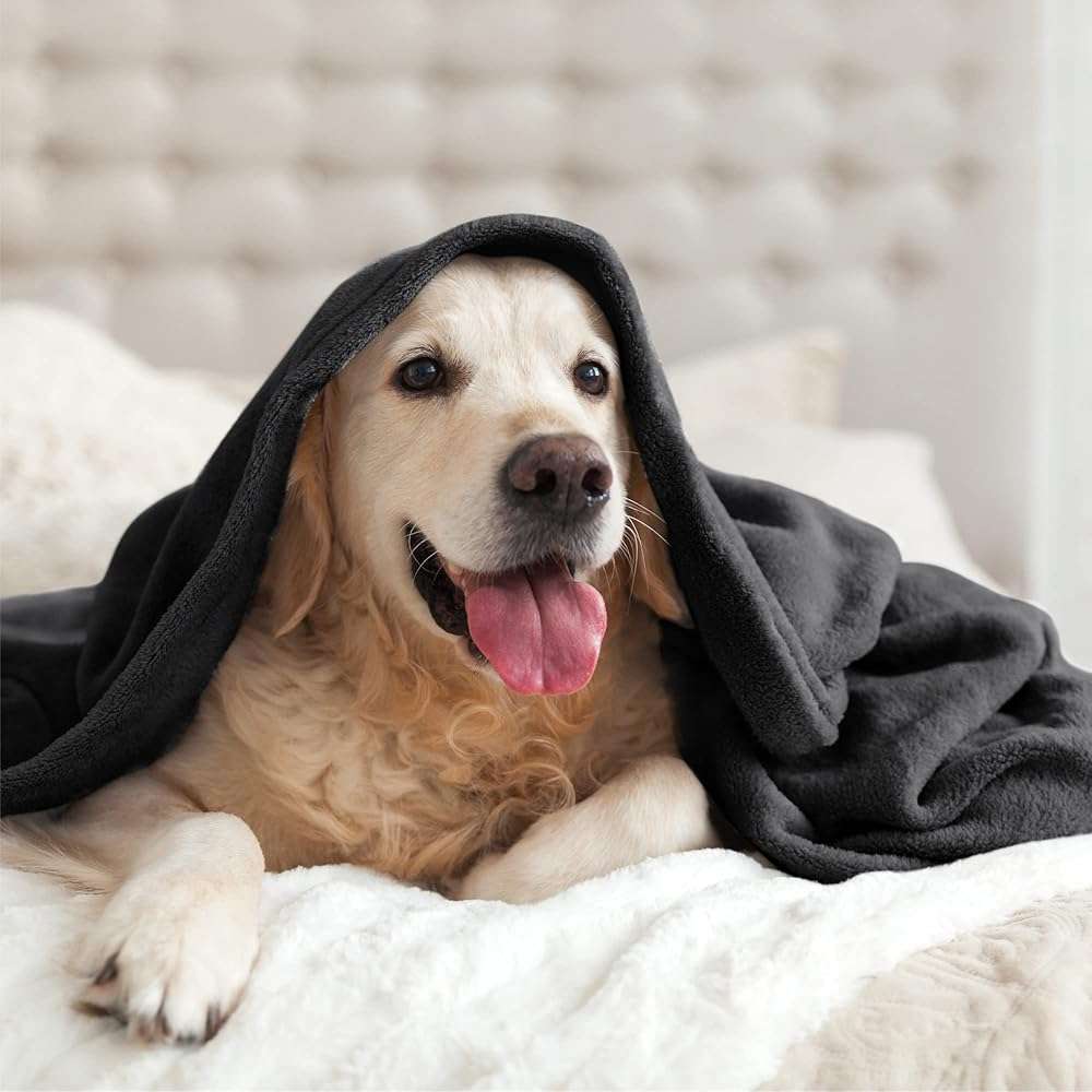 BEDELITE Fleece Blanket Black Throw Blankets for Couch & Bed, Luxury Plush Cozy Fuzzy Blanket 50x60 inches, Super Soft Warm Lightweight Throw Blanket for Travel Camping - Image 7