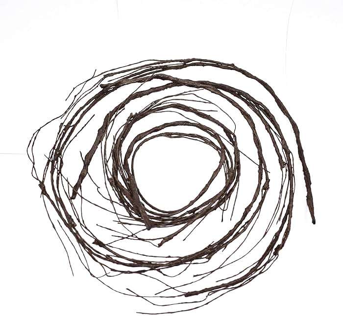 FeiLix 10PCS Lifelike Curly Willow Branches Decorative Dried Artificial Twigs, 30.7 Inches Fake Bendable Sticks Vintage Vines/Stems DIY Greenery Plants Craft Vases Home Garden Hotel Farmhouse Decor - Image 6