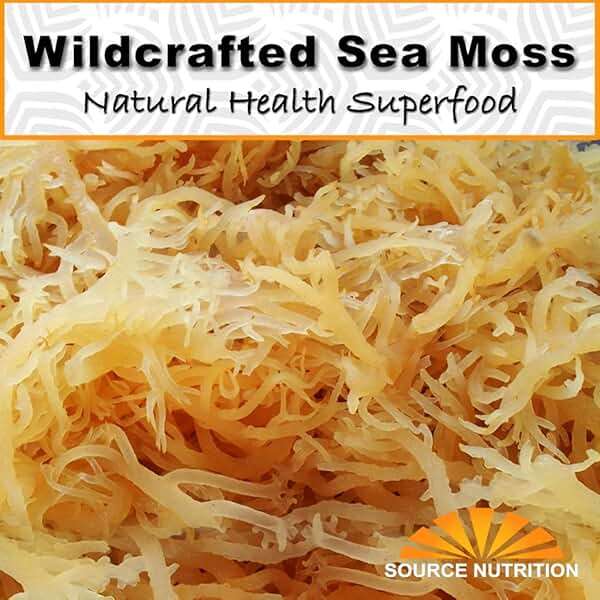 1 lb Wild Crafted Raw Sea Moss - Perfect for Gel & Smoothies, Clean Ocean Harvest, Hand Picked & Sun Dried - Bulk Irish Moss Superfood - Image 3