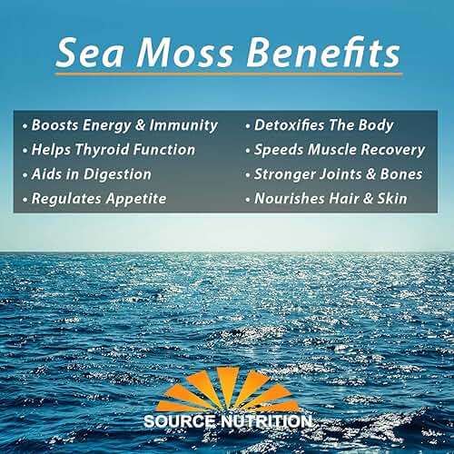 1 lb Wild Crafted Raw Sea Moss - Perfect for Gel & Smoothies, Clean Ocean Harvest, Hand Picked & Sun Dried - Bulk Irish Moss Superfood - Image 6