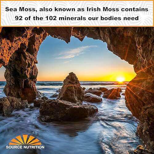 1 lb Wild Crafted Raw Sea Moss - Perfect for Gel & Smoothies, Clean Ocean Harvest, Hand Picked & Sun Dried - Bulk Irish Moss Superfood - Image 7