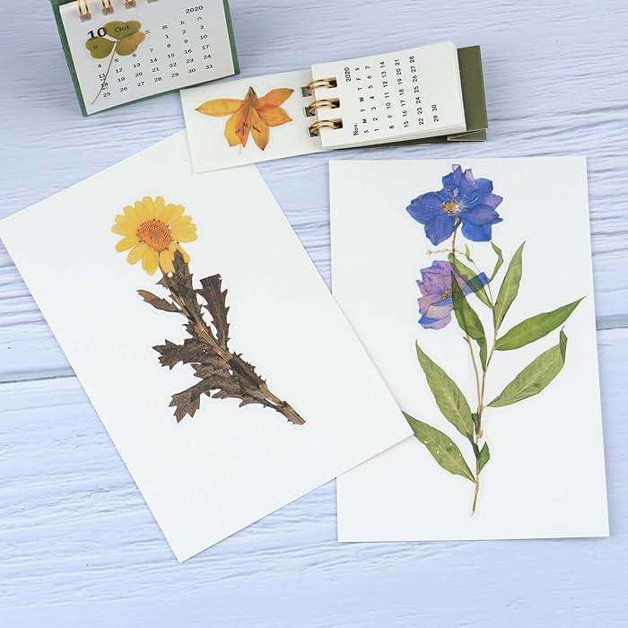 RISYPISY 160pcs Pre-Cut Scrapbooks Natural Stickers, Floral and Plant Sticker for DIY Craft, Planners, Journal, Notebook, Laptop, Cell Phone, Calendars, Wedding Scrapbooking, PET Material, Colorful - Image 2