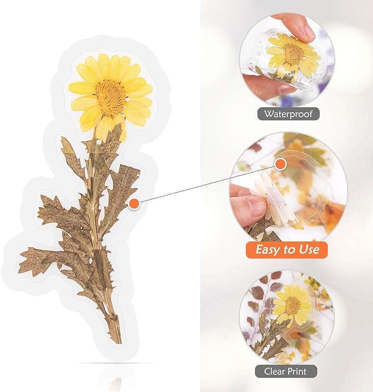 RISYPISY 160pcs Pre-Cut Scrapbooks Natural Stickers, Floral and Plant Sticker for DIY Craft, Planners, Journal, Notebook, Laptop, Cell Phone, Calendars, Wedding Scrapbooking, PET Material, Colorful - Image 4