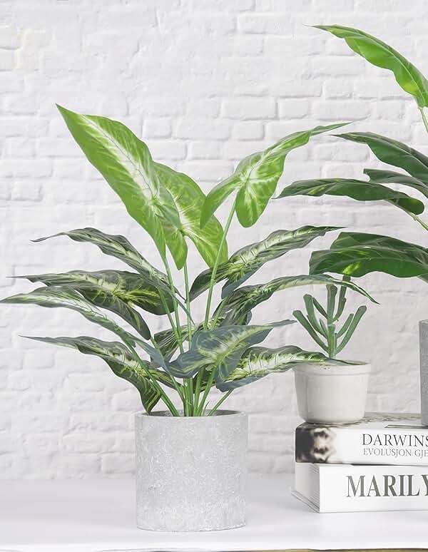 Der Rose JC nateva 16" Small Fake Plants Artificial Tropical Faux Plants Indoor for Office Desk Shelf Bathroom Home Decor - Image 2
