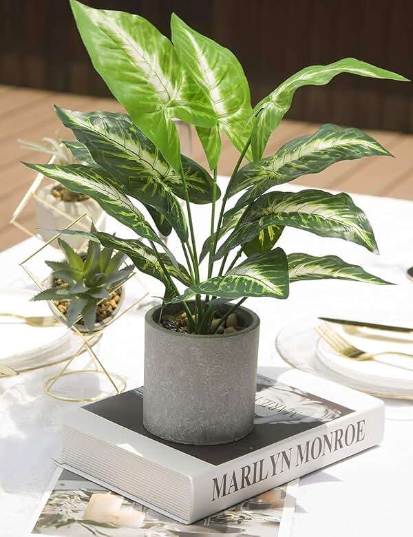 Der Rose JC nateva 16" Small Fake Plants Artificial Tropical Faux Plants Indoor for Office Desk Shelf Bathroom Home Decor - Image 6