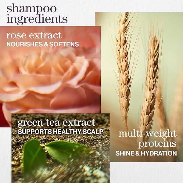 Pureology Hydrate Moisturizing Shampoo & Conditioner Set - For Medium to Thick Dry and Color Treated Hair, Softens and Deeply Hydrates, Sulfate-Free - Image 4