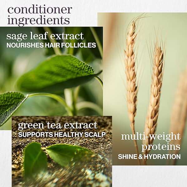 Pureology Hydrate Moisturizing Shampoo & Conditioner Set - For Medium to Thick Dry and Color Treated Hair, Softens and Deeply Hydrates, Sulfate-Free - Image 5