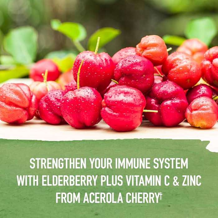 Garden of Life Organics Elderberry Zinc Immune Support for Adults and Kids 12 and Older, Organic Cough & Mucus Immune Syrup with Ivy Leaf, Vitamin C and Echinacea, No Added Sugars, 5 Fl oz - Image 6