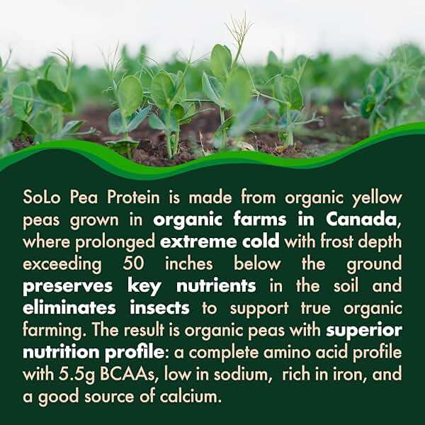 SOLO Organic Pea Protein Isolate, Low in Sodium, Canada Grown Peas, 100% Vegan, Non-GMO, Unflavored Plant Based Protein Powder with BCAA, Keto & Paleo Friendly, Easy to Digest, No Additives (2.7 lbs) - Image 4
