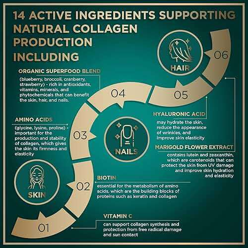 WILD FUEL Vegan Collagen Builder - Biotin, Organic Superfood, Amino Acids Glycine, Lysine, Proline Plant-Based Collagen Booster Supplements - 30 Organic Extract Tablets - Image 5