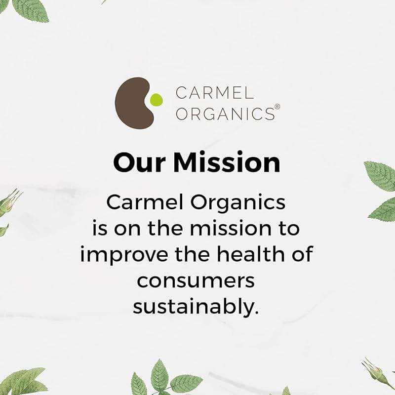 Moringa Leaves Powder (8 Ounce) | Non GMO | Super Food for Smoothies and Drinks | Natural | No Added Preservative or Additive | Moringa Oleifera Powder - Image 6