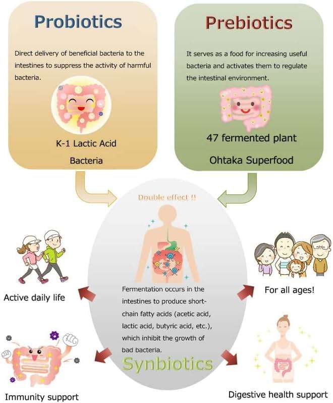 SynB: 100Billion cfu Probiotic and 47 Fermented Plants Japanese Prebiotic in one. Digestive Health-Immune Support. - Image 3
