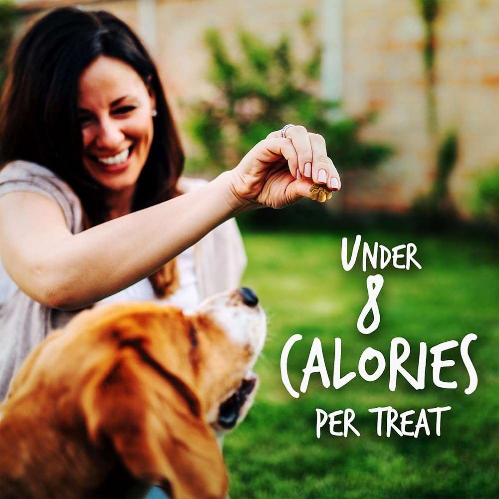 Fruitables Baked Dog Treats, Healthy Pumpkin Treat for Dogs, Low Calorie & Delicious, Free of Wheat, Corn and Soy, Made in the USA, Apple and Crispy Bacon Flavor, 12oz - Image 6