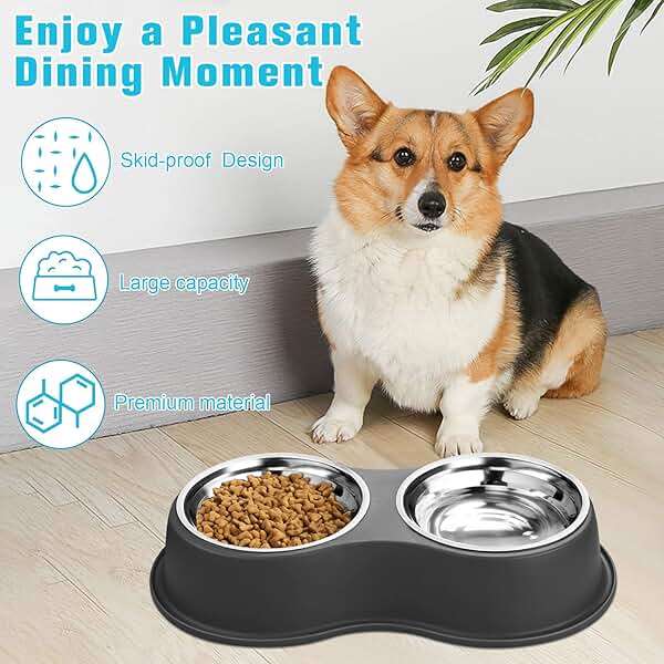 Epetslove Dog Bowls Double Dog Water and Food Bowl Stainless Steel Bowl with Non-Slip Resin Station, Pet Feeder Bowls for Puppy Medium Dogs Cats - Image 4