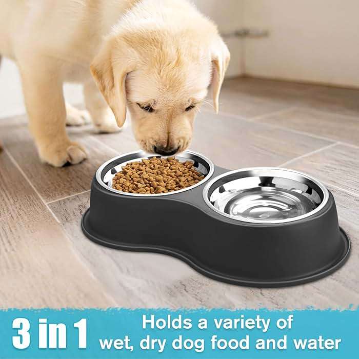 Epetslove Dog Bowls Double Dog Water and Food Bowl Stainless Steel Bowl with Non-Slip Resin Station, Pet Feeder Bowls for Puppy Medium Dogs Cats - Image 5