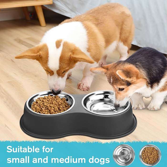 Epetslove Dog Bowls Double Dog Water and Food Bowl Stainless Steel Bowl with Non-Slip Resin Station, Pet Feeder Bowls for Puppy Medium Dogs Cats - Image 7