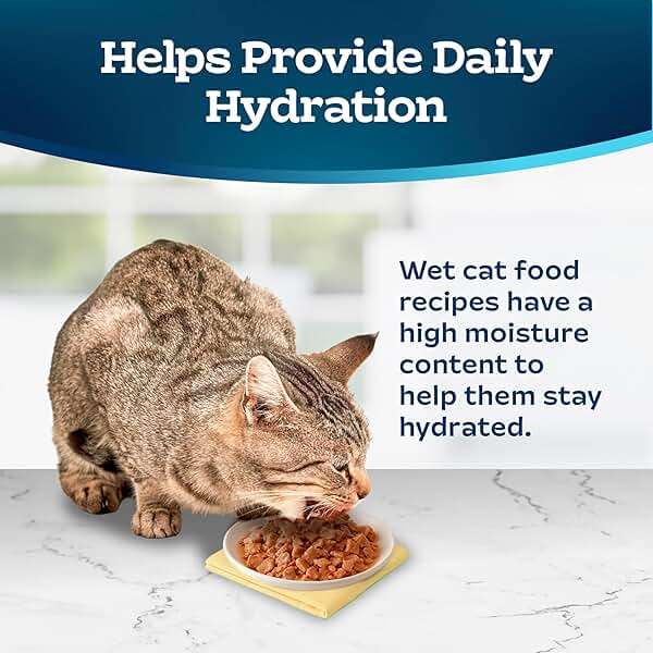 Blue Buffalo Tastefuls Wet Cat Food Paté Variety Pack (Chicken, Salmon, Ocean Fish & Tuna) for Adult Cats, Made with Natural Ingredients, 3-oz. Each (12 Cans) - Image 7