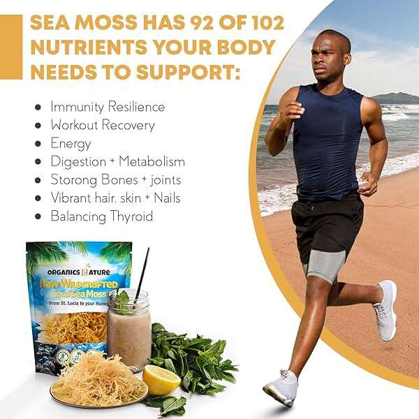 Organics Nature Raw Wildcrafted Sea Moss | Organic Wildcrafted & Non-GMO Certified | Dr Sebi Approved | Make 5 Jars of Sea Moss Gel | Immune Support, Energy &e Essential Minerals & Vitamins 4 oz - Image 2