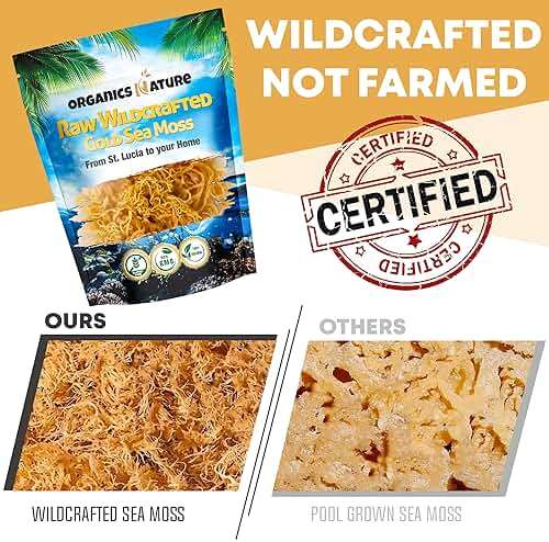 Organics Nature Raw Wildcrafted Sea Moss | Organic Wildcrafted & Non-GMO Certified | Dr Sebi Approved | Make 5 Jars of Sea Moss Gel | Immune Support, Energy &e Essential Minerals & Vitamins 4 oz - Image 3