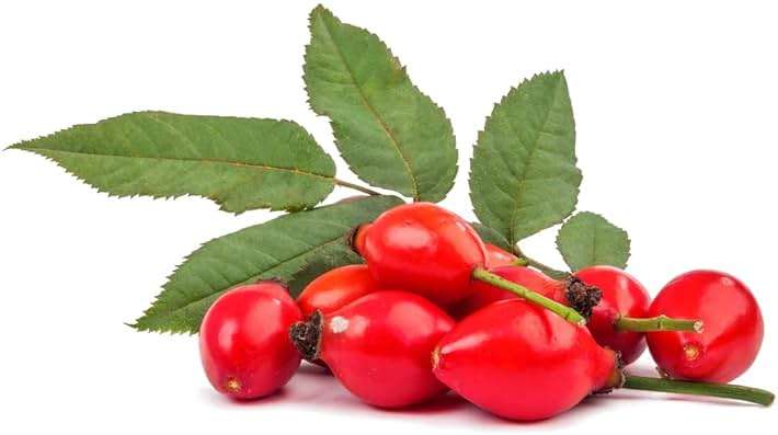 OPO Rosehip Oil - 16 oz - Pure, Unrefined, Cold Pressed, Non-GMO, Vegan Bulk Carrier Oil - Skin, Hair, Nails, Body, Face, Facial Hair - Nourish, Moisturize, Condition Sensitive, Mature, Brittle - Image 3
