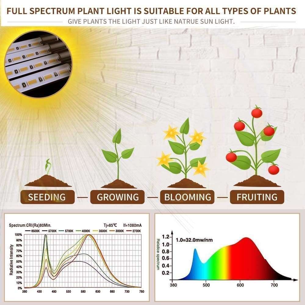 bseah Grow Light Plant Lights for Indoor Plants, Full Spectrum Plant Grow Lamp, 10 Dimmable Levels, Auto ON & Off with 3/9/12H Timer - Image 4