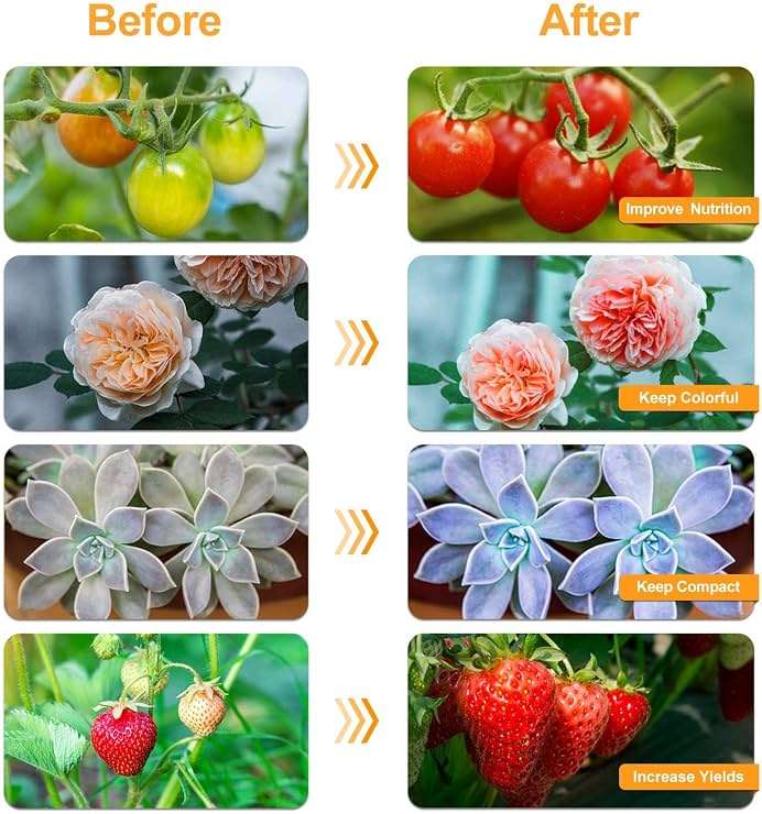 bseah Grow Light Plant Lights for Indoor Plants, Full Spectrum Plant Grow Lamp, 10 Dimmable Levels, Auto ON & Off with 3/9/12H Timer - Image 5