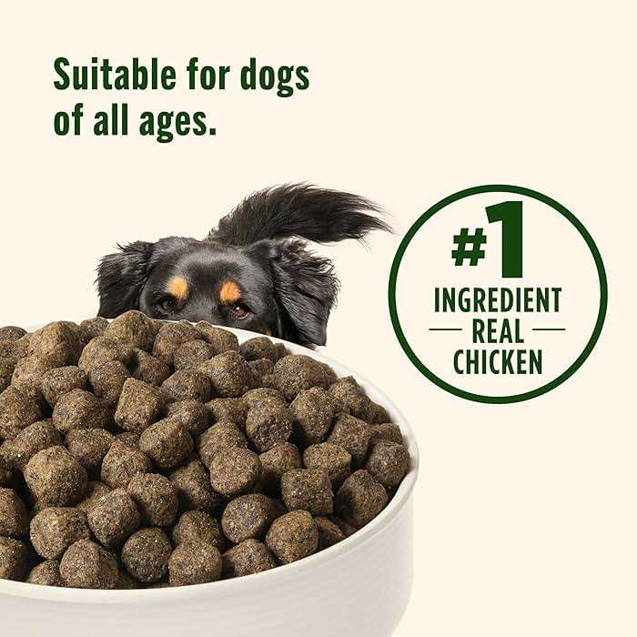 Nutrish Grain Free Dry Dog Food, Chicken & Sweet Potato Recipe, 26 lb. Bag (Rachael Ray) - Image 7