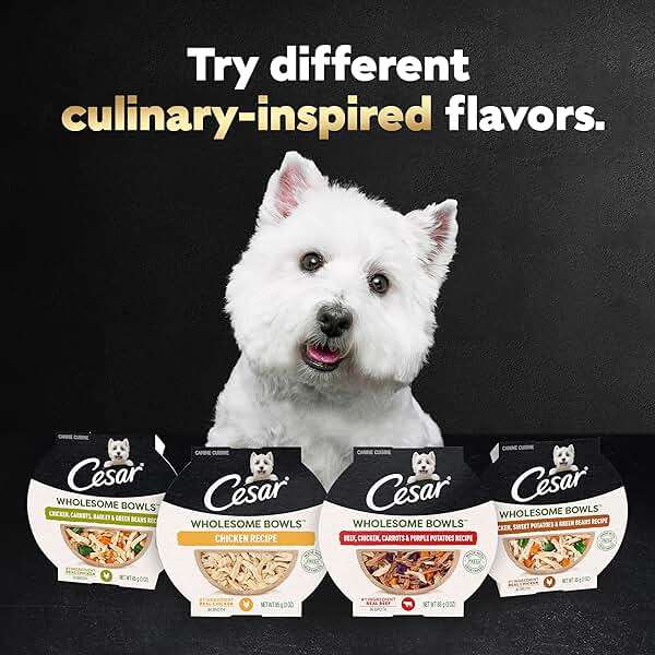 Cesar Wholesome Bowls Adult Wet Dog Food, Beef, Chicken, Purple Potatoes & Carrots, 3 oz. (10 Count, Pack of 1) - Image 11