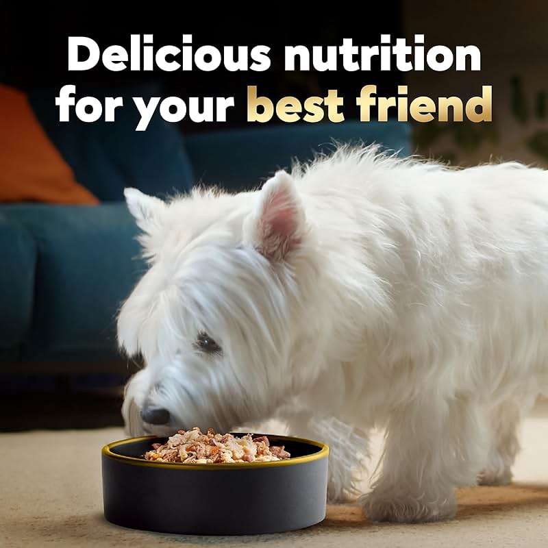 Cesar Wholesome Bowls Adult Wet Dog Food, Beef, Chicken, Purple Potatoes & Carrots, 3 oz. (10 Count, Pack of 1) - Image 8