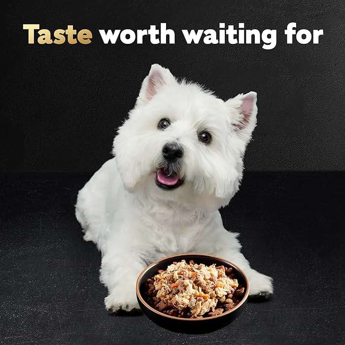 Cesar Wholesome Bowls Adult Wet Dog Food, Beef, Chicken, Purple Potatoes & Carrots, 3 oz. (10 Count, Pack of 1) - Image 10