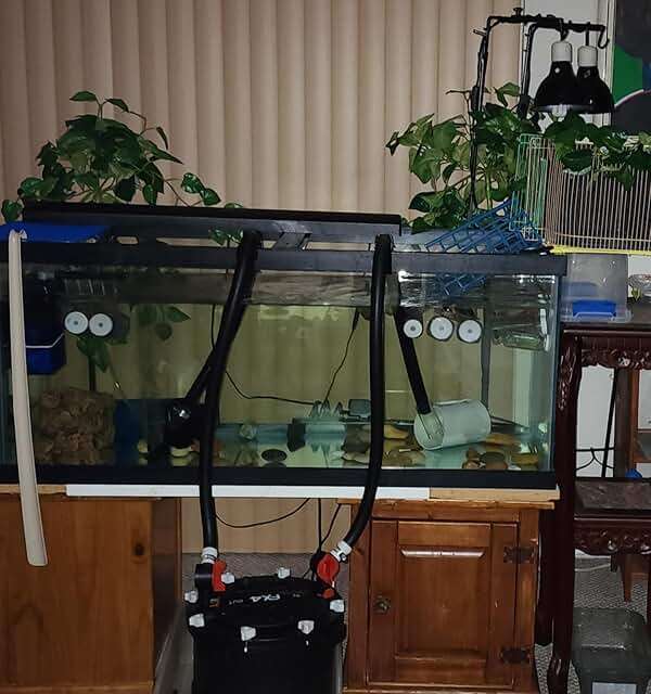 Aquarium Decor Plastic Plants Suction Cups 2 Large 1 Medium Bottles Turtles Pets Platforms Earrings Handmade - Image 8