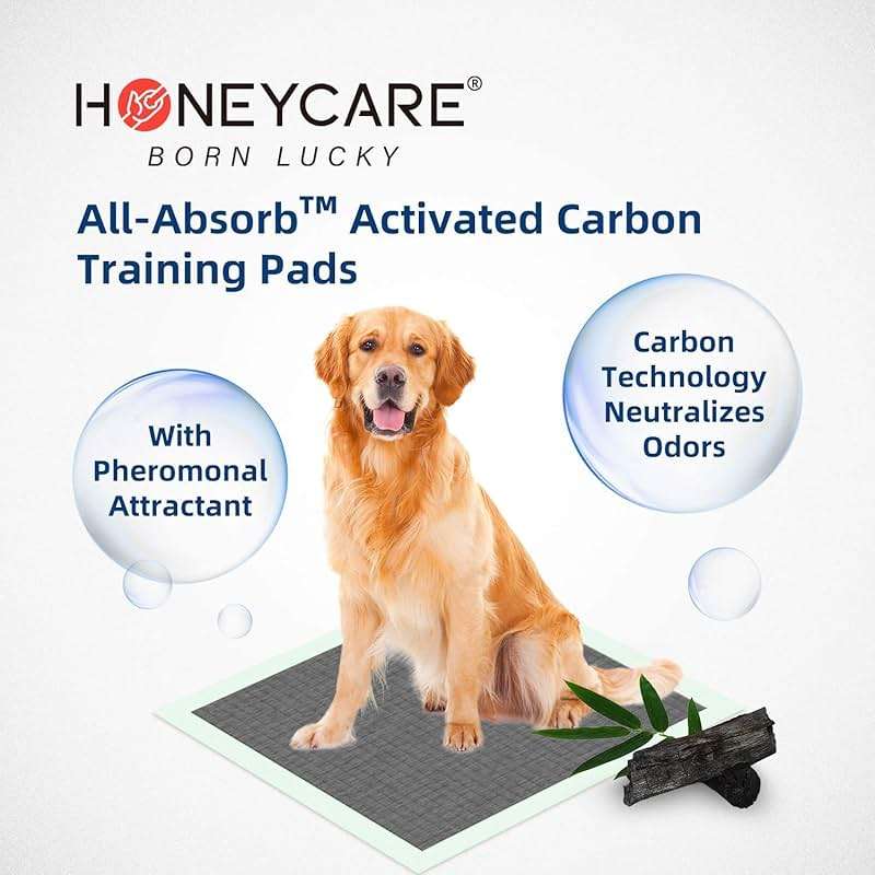 HONEY CARE All-Absorb Puppy Training Pads | Doggie Potty Pads Absorb Eliminating Urine Odor, Ultra Charcoal Dog Pee Pad (Carbon, L 22x23 inch, 100ct) - Image 3