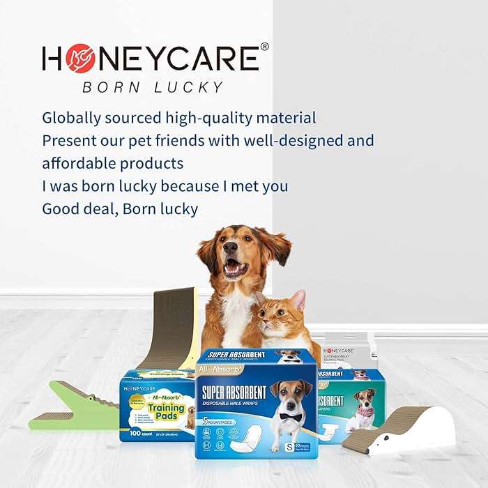 HONEY CARE All-Absorb Puppy Training Pads | Doggie Potty Pads Absorb Eliminating Urine Odor, Ultra Charcoal Dog Pee Pad (Carbon, L 22x23 inch, 100ct) - Image 7